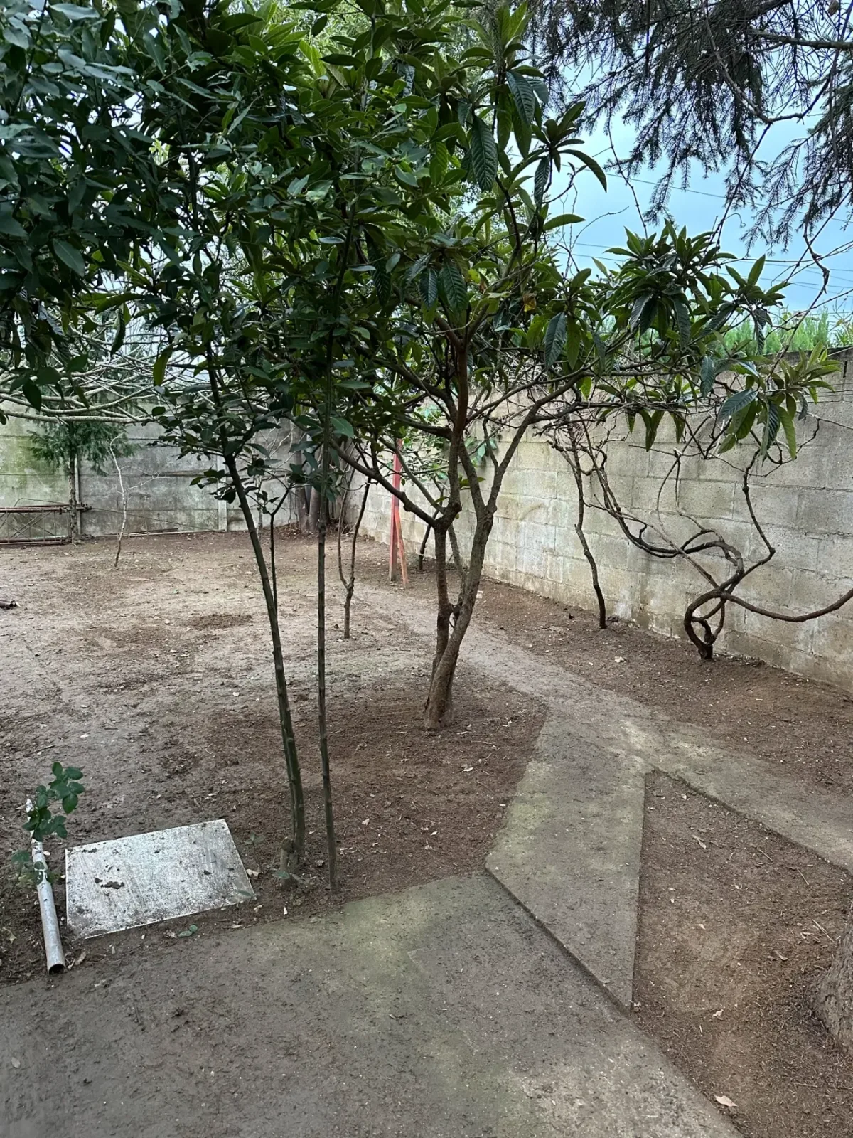 Débarras Jardin à Paris. Réalisation CAIA Débarras n°4